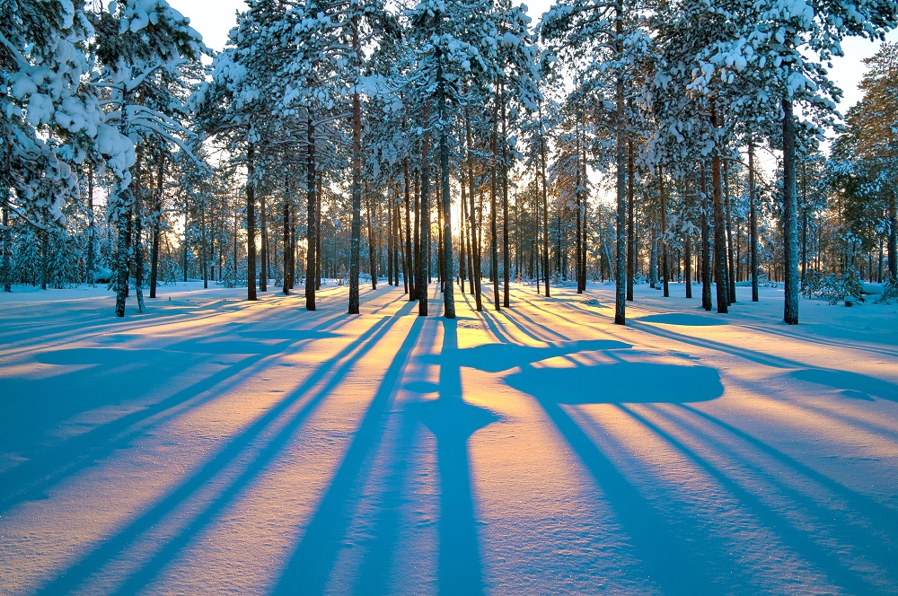 winterlandschaft