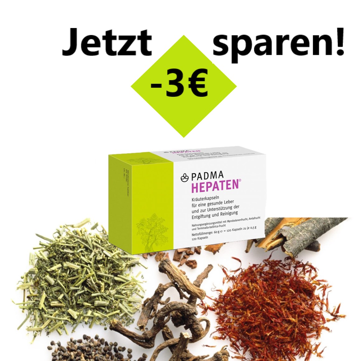 Padma Hepaten -3€ Frühjahrsaktion